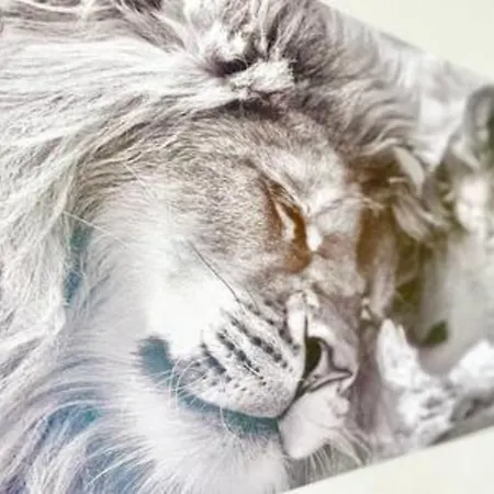 The White Lion Downtown And Balcony Appartamento Saint-Nazaire (Loire-Atlantique)